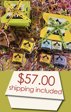 USPS shipping included gift