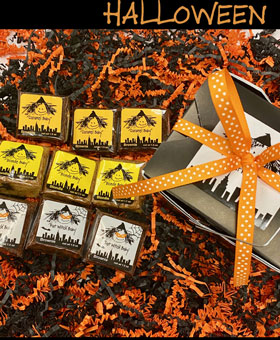 9 assorted baby brownies